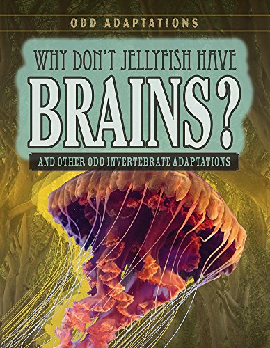 Stock image for Why Don't Jellyfish Have Brains? : And Other Odd Invertebrate Adaptations for sale by Better World Books: West