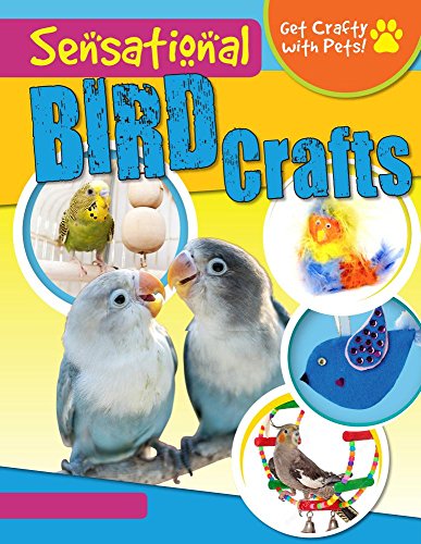 9781538226261: Sensational Bird Crafts (Get Crafty With Pets!)