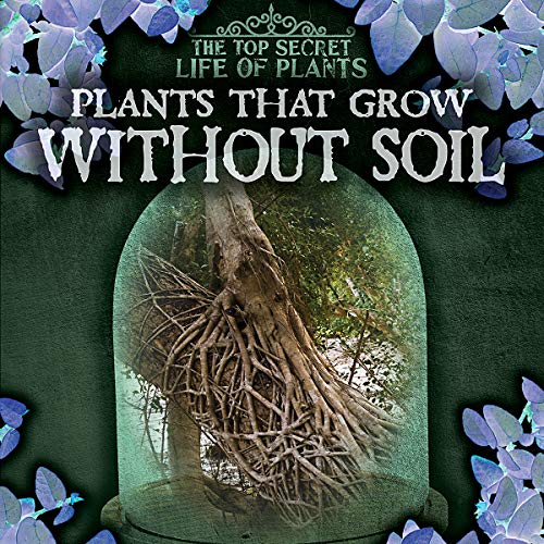 Beispielbild fr Plants That Grow Without Soil (Top Secret Life of Plants) zum Verkauf von WorldofBooks