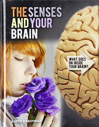 Imagen de archivo de The Senses and Your Brain (What Goes on Inside Your Brain?) a la venta por HPB-Red