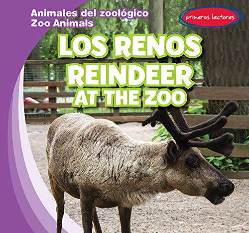 9781538243640: Los Renos / Reindeer at the Zoo (Animales del zoolgico/ Zoo Animals)