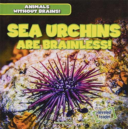 Beispielbild fr Sea Urchins Are Brainless! (Animals Without Brains!) zum Verkauf von WorldofBooks