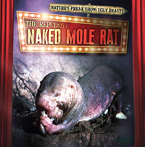 9781538246184: The Repulsive Naked Mole Rat (Nature's Freak Show: Ugly Beasts)