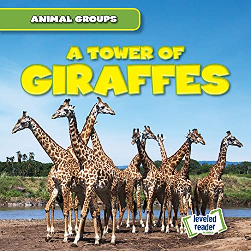 9781538263617: A Tower of Giraffes (Animal Groups)