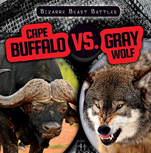 Imagen de archivo de Cape Buffalo Vs. Gray Wolf (Bizarre Beast Battles) a la venta por PlumCircle