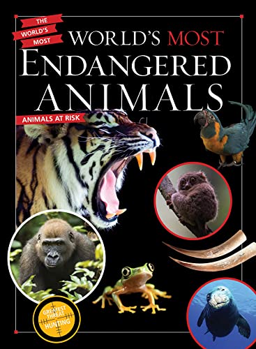 Stock image for World's Most Endangered Animals for sale by Revaluation Books