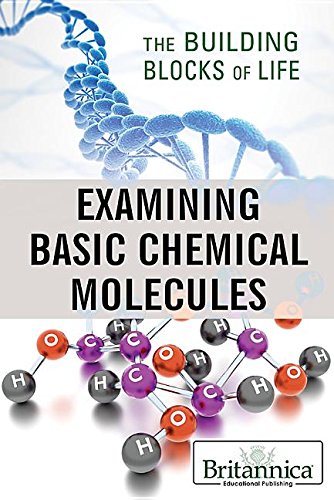Imagen de archivo de Examining Basic Chemical Molecules a la venta por Better World Books