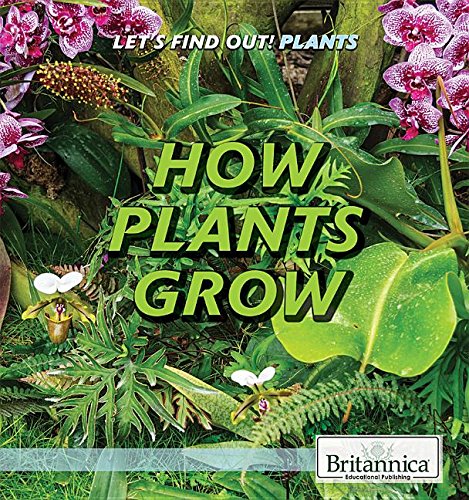 Imagen de archivo de How Plants Grow (Let's Find Out!) a la venta por BookOutlet