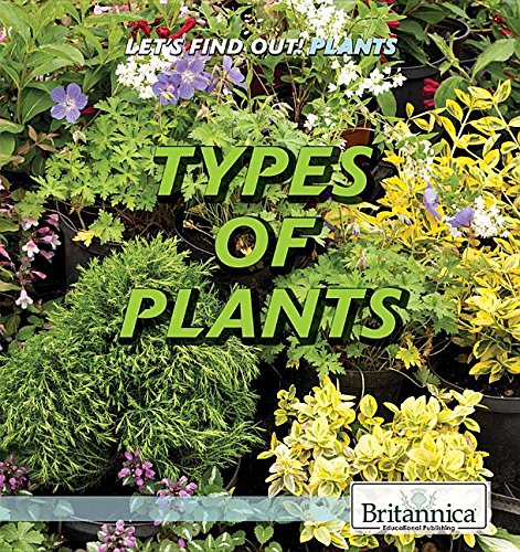 Imagen de archivo de Types of Plants (Let's Find Out! Plants) a la venta por Booksavers of MD