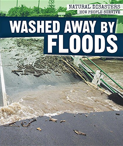 Beispielbild fr Washed Away by Floods zum Verkauf von Better World Books