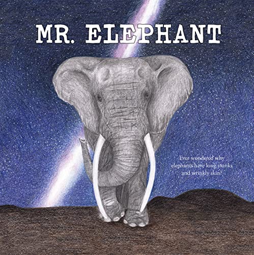9781538394229: Mr. Elephant