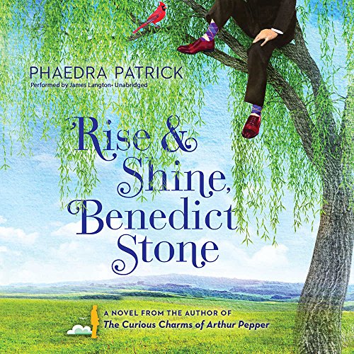 Stock image for Rise & Shine, Benedict Stone Lib/E for sale by SecondSale