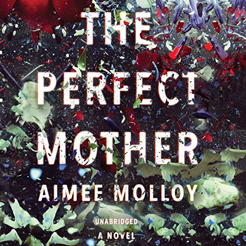 Imagen de archivo de The Perfect Mother: A Novel a la venta por SecondSale