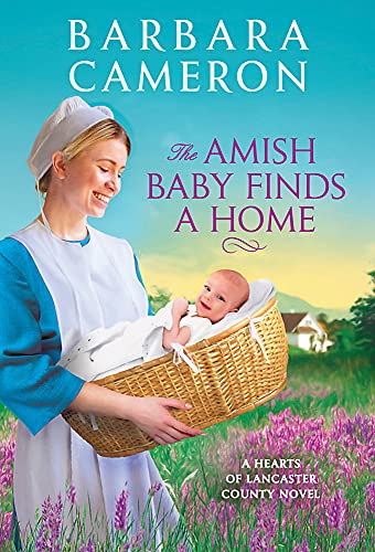 9781538751640: The Amish Baby Finds a Home
