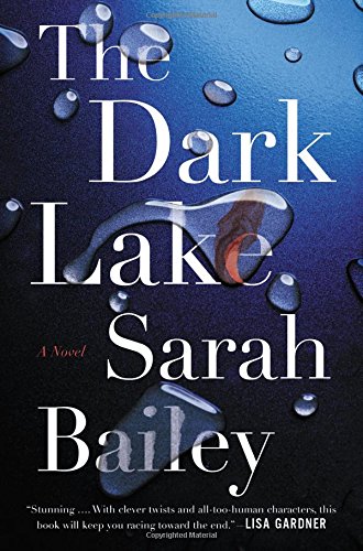Beispielbild fr The Dark Lake zum Verkauf von Better World Books