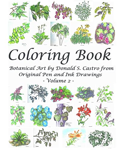 Beispielbild fr Botanical Art Coloring Book - Volume 2: from Original Pen & Ink Drawings zum Verkauf von THE SAINT BOOKSTORE