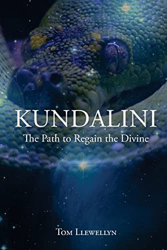 Imagen de archivo de Kundalini: The path to regain the divine a la venta por SecondSale