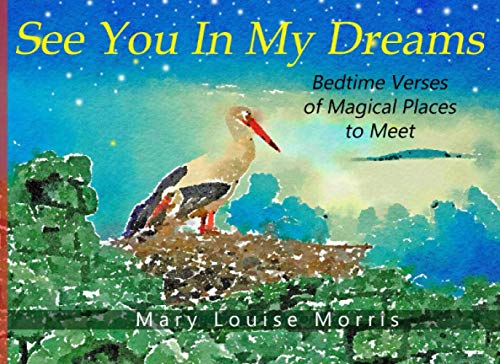 Imagen de archivo de See You In My Dreams: Read Aloud Bedtime Verses to Inspire Imagination and Adventure for Boys and Girls Ages 3-5 and 6-8 a la venta por Red's Corner LLC