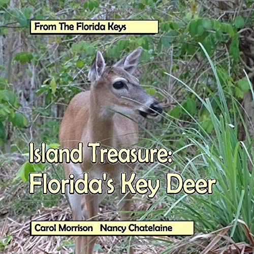 9781539054894: Island Treasure: Florida's Key Deer