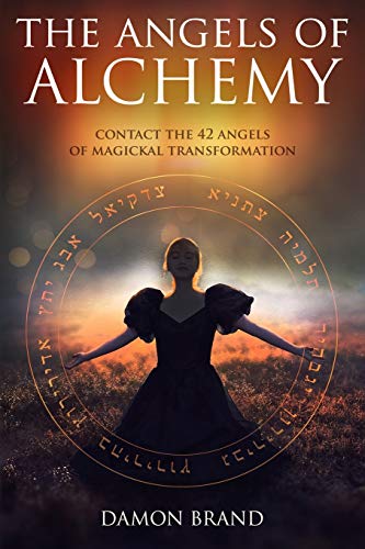 Stock image for The Angels of Alchemy: Contact the 42 Angels of Magickal Transformation (The Gallery of Magick) for sale by HPB-Diamond