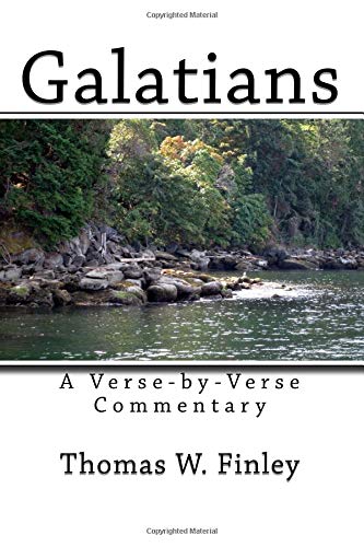 Stock image for Galatians: A Verse-by- Verse Commentary for sale by SecondSale