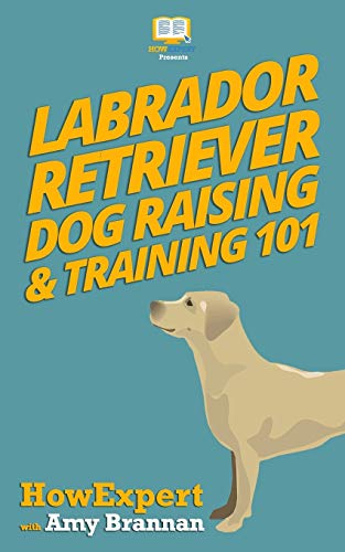 Stock image for Labrador Retriever Dog Raising Training 101 for sale by Big River Books
