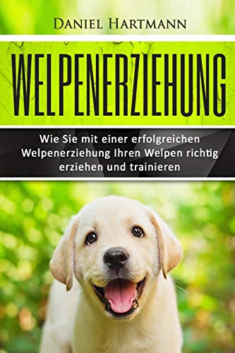 Stock image for Welpenerziehung: Wie Sie mit einer erfolgreichen Welpenerziehung Ihren Welpen richtig erziehen und trainieren (Hundetraining, Welpentraining, Hundeerziehung) for sale by medimops