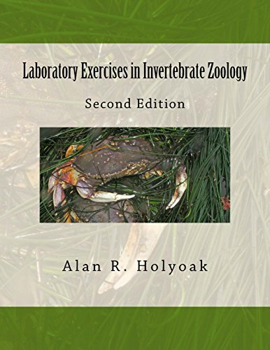 Beispielbild fr Laboratory Exercises in Invertebrate Zoology zum Verkauf von BooksRun