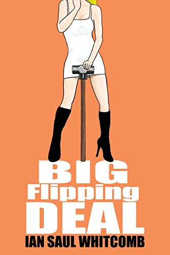 Imagen de archivo de Big Flipping Deal a la venta por Lucky's Textbooks