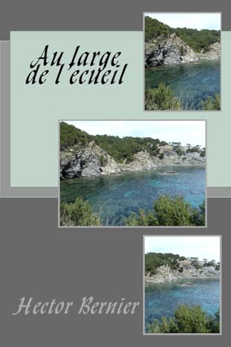 Stock image for Au large de l'ecueil for sale by THE SAINT BOOKSTORE