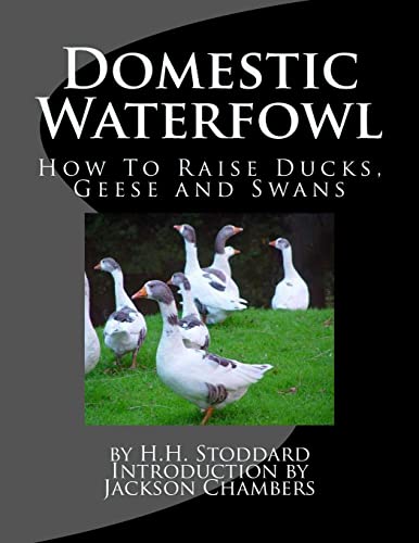 Stock image for Domestic Waterfowl: How To Raise Ducks, Geese and Swans for sale by PlumCircle