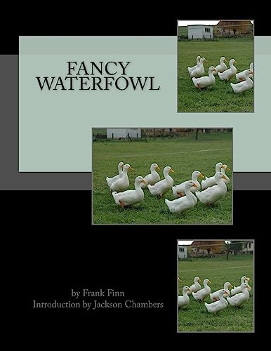 9781539698647: Fancy Waterfowl