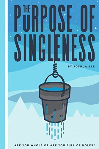 Imagen de archivo de The Purpose of Singleness: Are you whole or are you full of holes a la venta por SecondSale