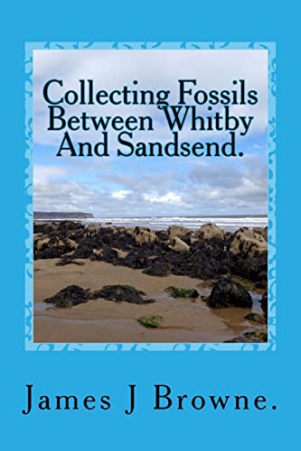 Imagen de archivo de Collecting Fossils Between Whitby And Sandsend.: A Beginner's Guide. a la venta por WorldofBooks