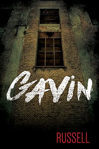 Imagen de archivo de Gavin (The Gavin Nolan Biography) a la venta por HPB Inc.