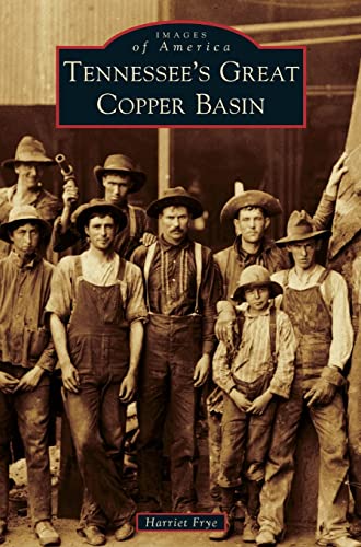 Beispielbild fr Tennessee's Great Copper Basin zum Verkauf von Save With Sam