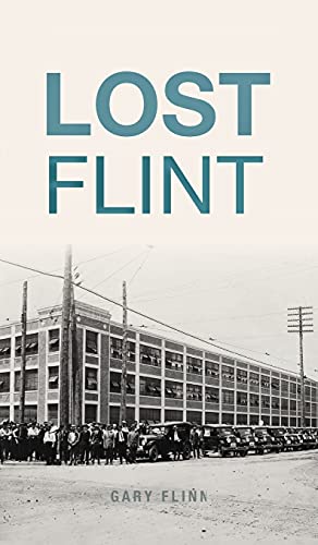 Imagen de archivo de Lost Flint a la venta por GreatBookPrices