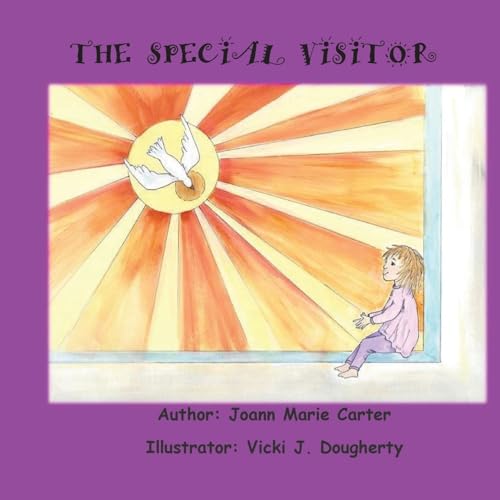 9781540377906: The Special Visitor