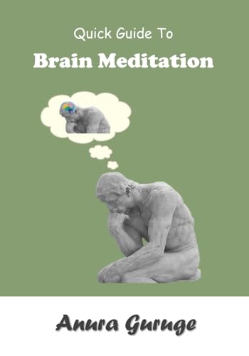Stock image for Quick Guide To Brain Meditation for sale by Lucky's Textbooks