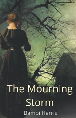 9781540610256: The Mourning Storm