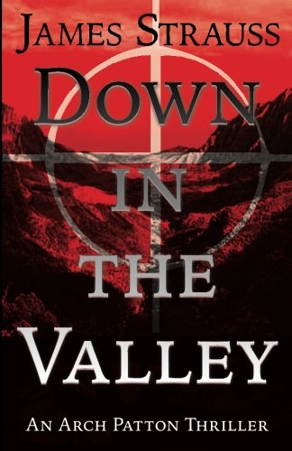 Beispielbild fr Arch Patton, Down in the Valley: First Arch Patton Thriller zum Verkauf von Bingo Books 2