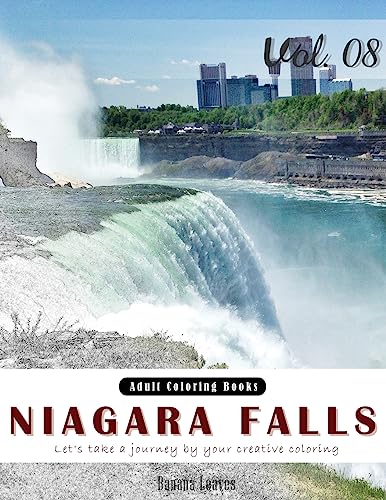 Stock image for Niagara Falls: Landscapes Grey Scale Photo Adult Coloring Book, Mind Relaxation Stress Relief Coloring Book Vol8.: Series of coloring for sale by ThriftBooks-Dallas