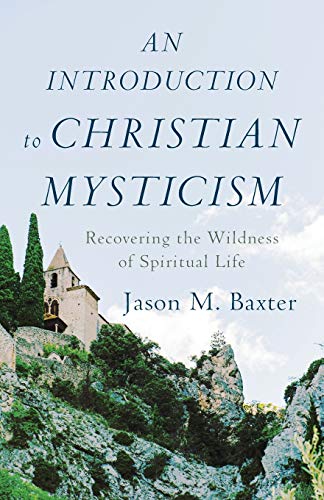 9781540961228: Introduction to Christian Mysticism: Recovering the Wildness of Spiritual Life