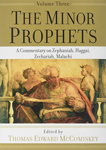 9781540961341: The Minor Prophets