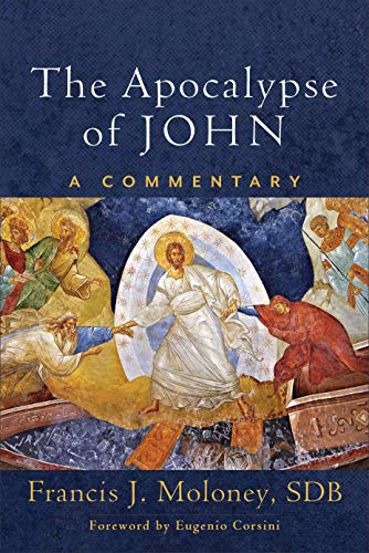 Beispielbild fr The Apocalypse of John: A Commentary zum Verkauf von BooksRun