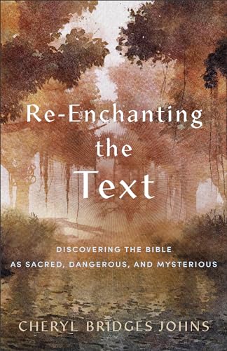 Stock image for Re-Enchanting the Text: Discovering the Bible as Sacred, Dangerous, and Mysterious for sale by ThriftBooks-Atlanta