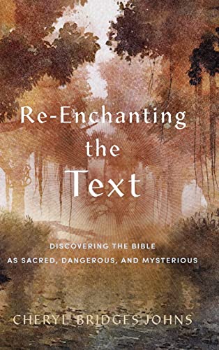 Stock image for Re-enchanting the Text for sale by GF Books, Inc.