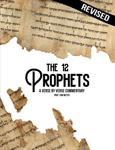 Stock image for The Minor Prophets: A verse by verse commentary for sale by Better World Books