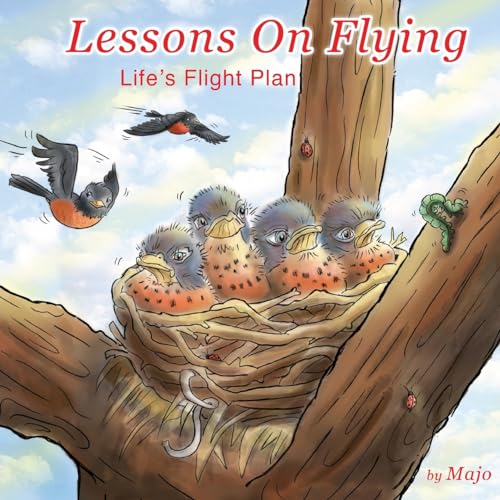 Beispielbild fr Lessons on Flying : Life's Flight Plan zum Verkauf von Better World Books
