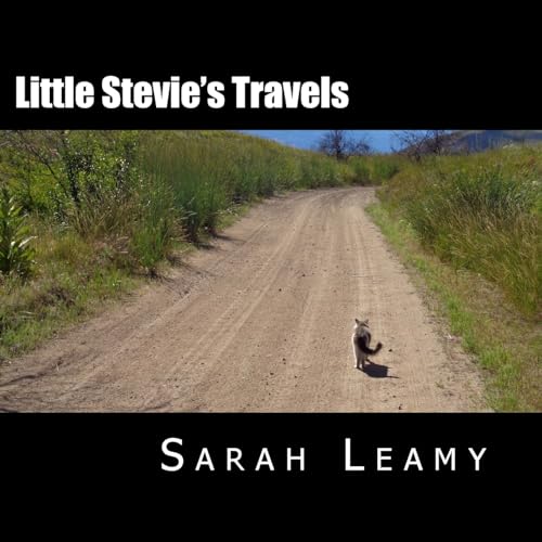 Stock image for Little Stevie's Travels: The Camping Cat for sale by THE SAINT BOOKSTORE